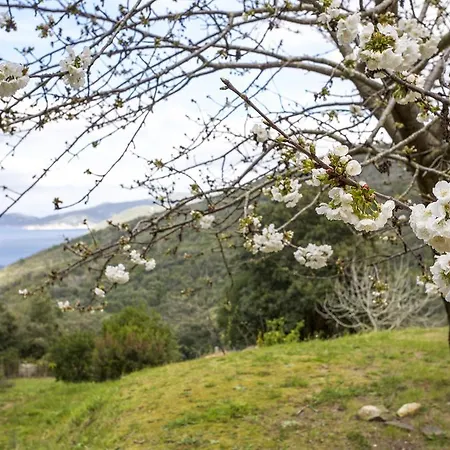 Villino Mare E Natura Marciana Marina