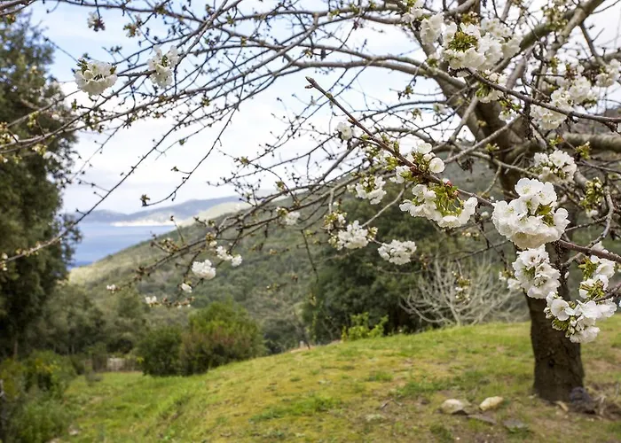 Villino Mare E Natura Marciana Marina (Isola d'Elba)