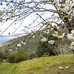 Villino Mare E Natura Marciana Marina (Isola d'Elba)